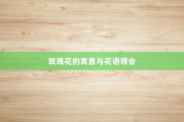 玫瑰花的寓意与花语领会
